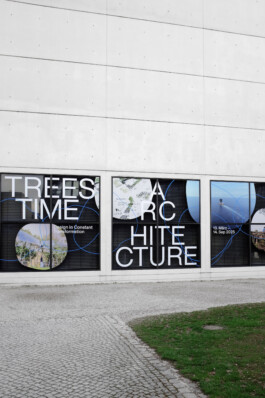 strobo B M design studio