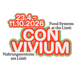 strobo B M design studio